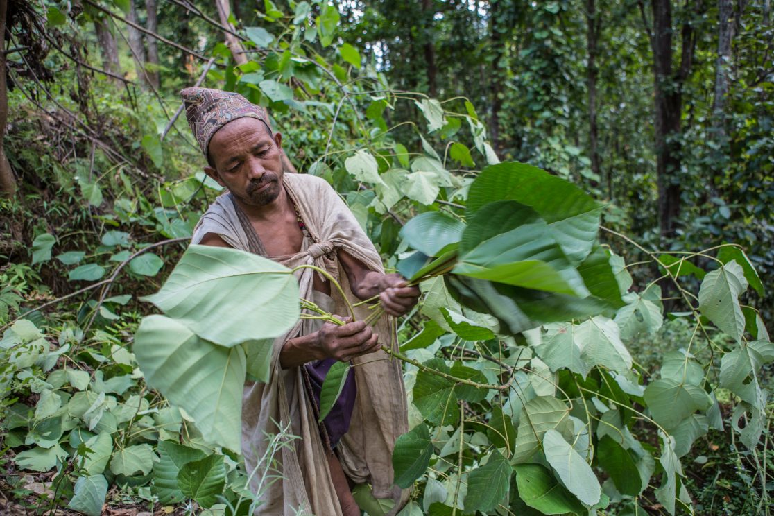 Zinggl_Reportage_GEOMagazin_Nepal_Raute_Nomaden_Minderheit_Ethnologie_Asien_07